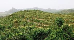 Ayodhya Hills