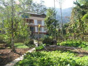 Sribadam Guest House