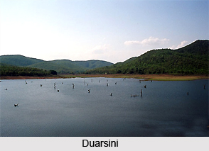 Duarsini