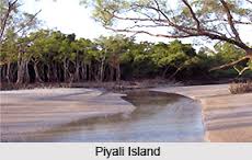 Piyali Island