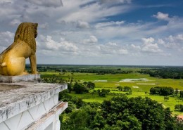 Dhauli