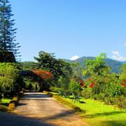 Biksthang Resort