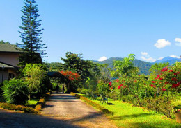 Biksthang Resort