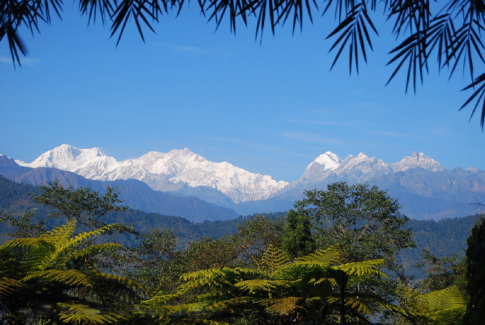 Varsey, Sikkim – Home to a wide variety of plant and animal life –  