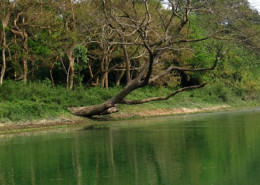 Bibhutibhushan Wild Life Sanctuary