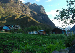 lachung_valley