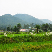 Susunia Hills