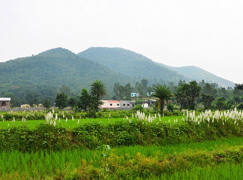 Susunia Hills