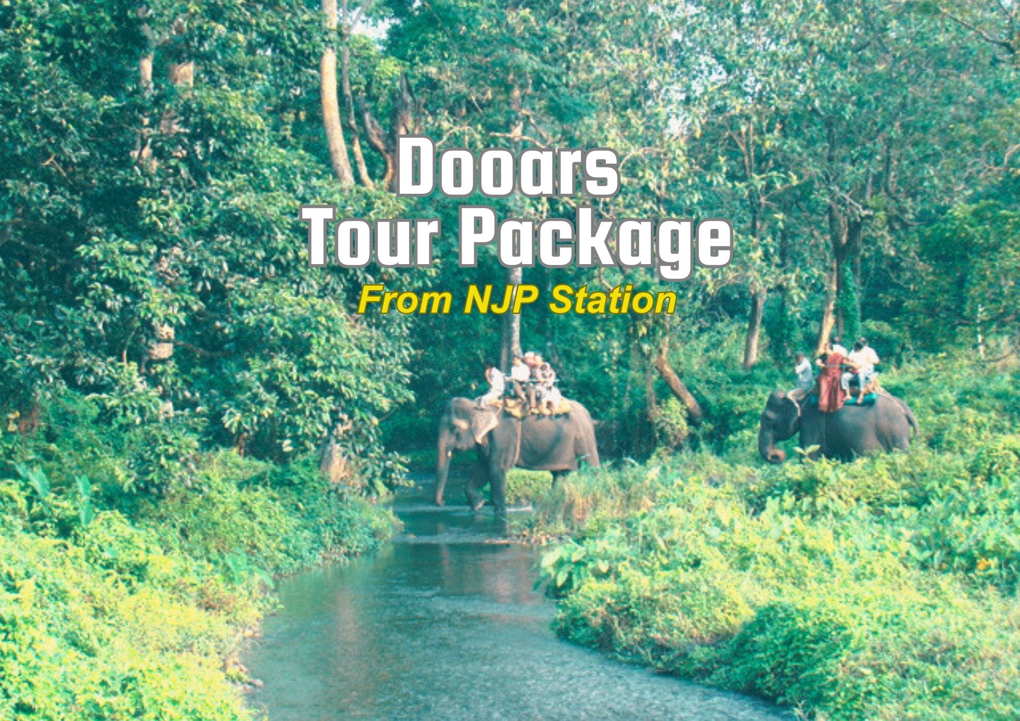 Dooars Tour Package